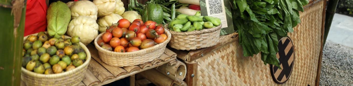 uploads/Layout/sustainability/market-sustainable.webp
