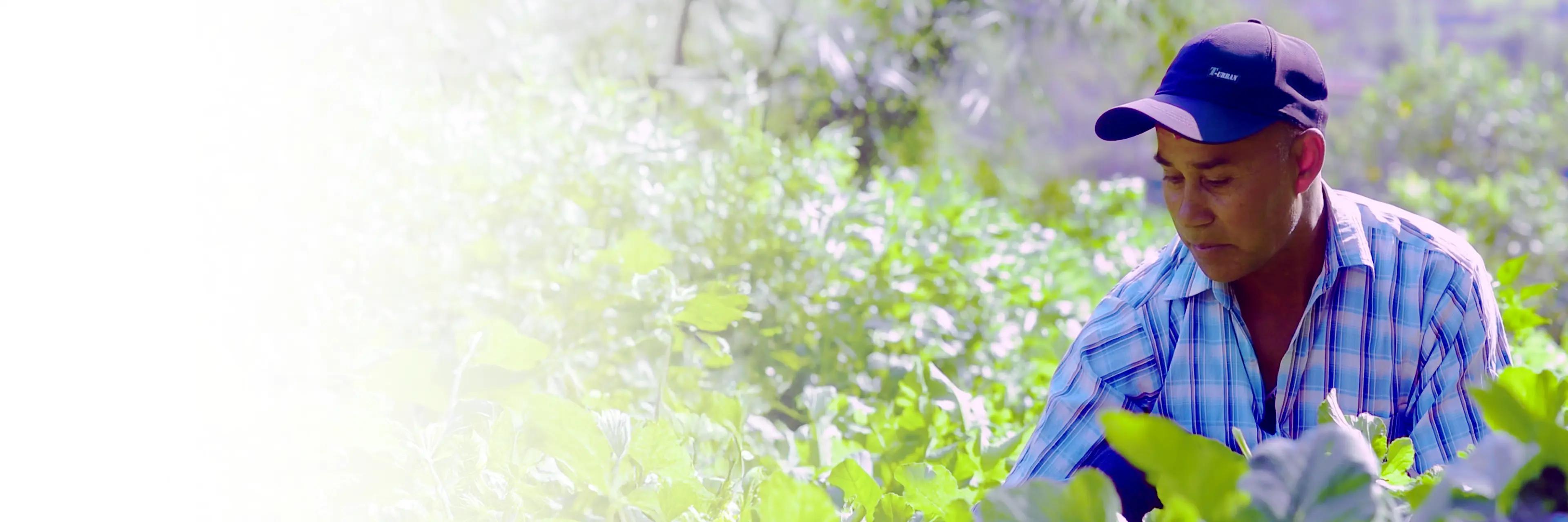 ग्लोबल आइएमई कृषि कर्जा