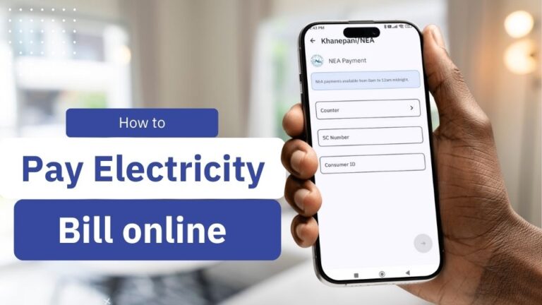 pay nea electricity bill online